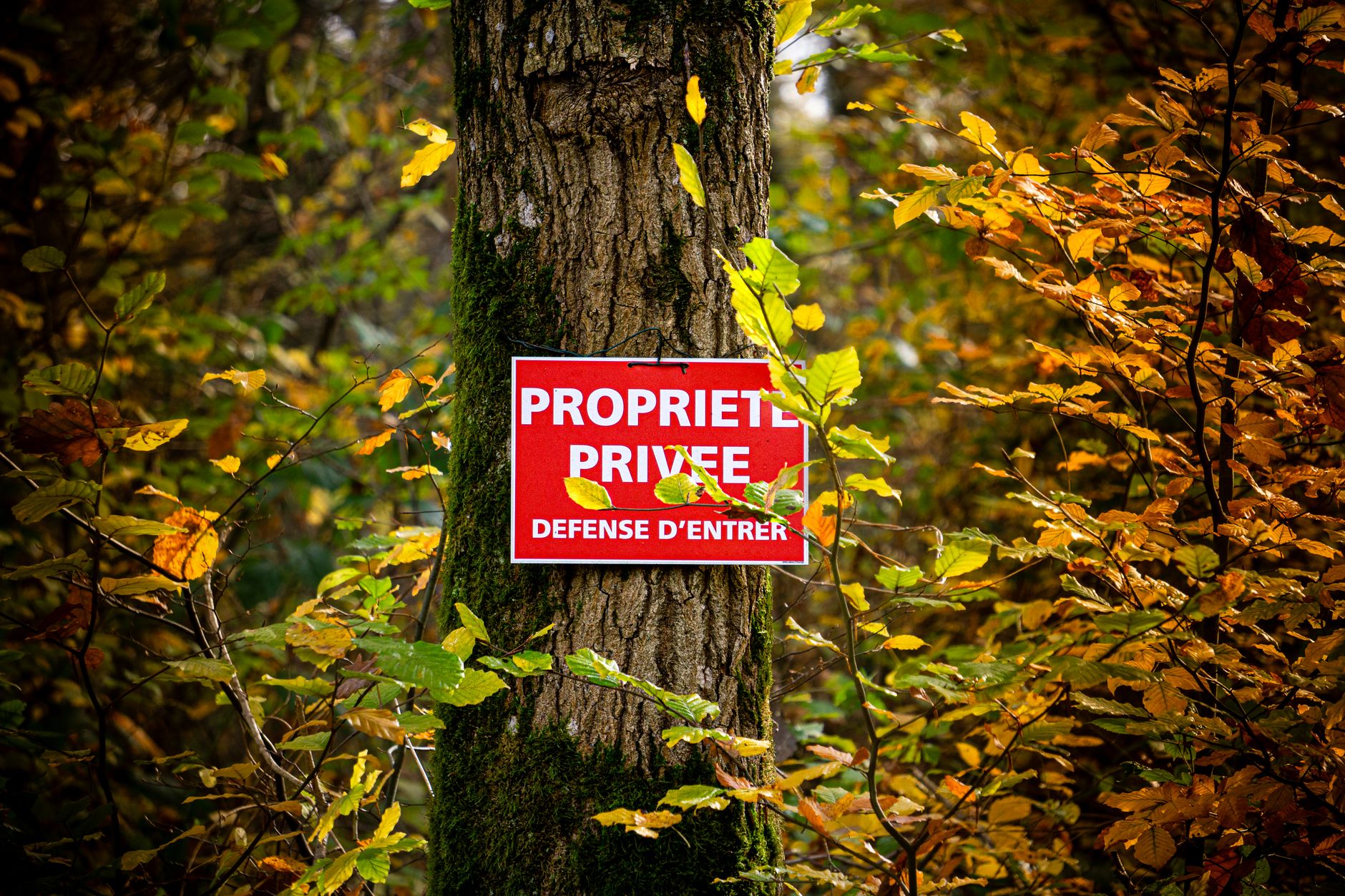Détective privé à Mérignac